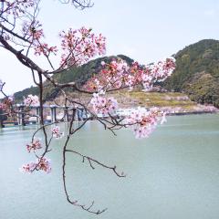 ユキキ