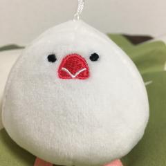 かぴー