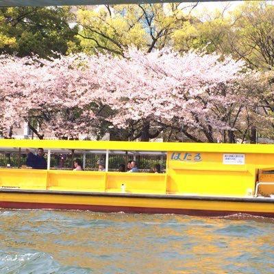 🌸りゅうちゃん🌸のトーク