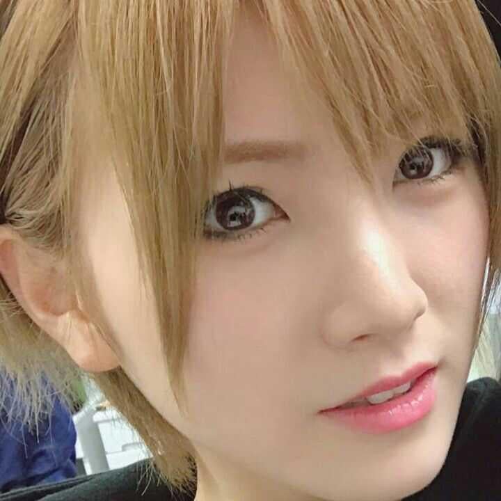 チワワ 岡田奈々神推し