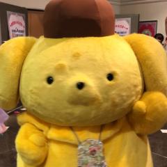 しおり