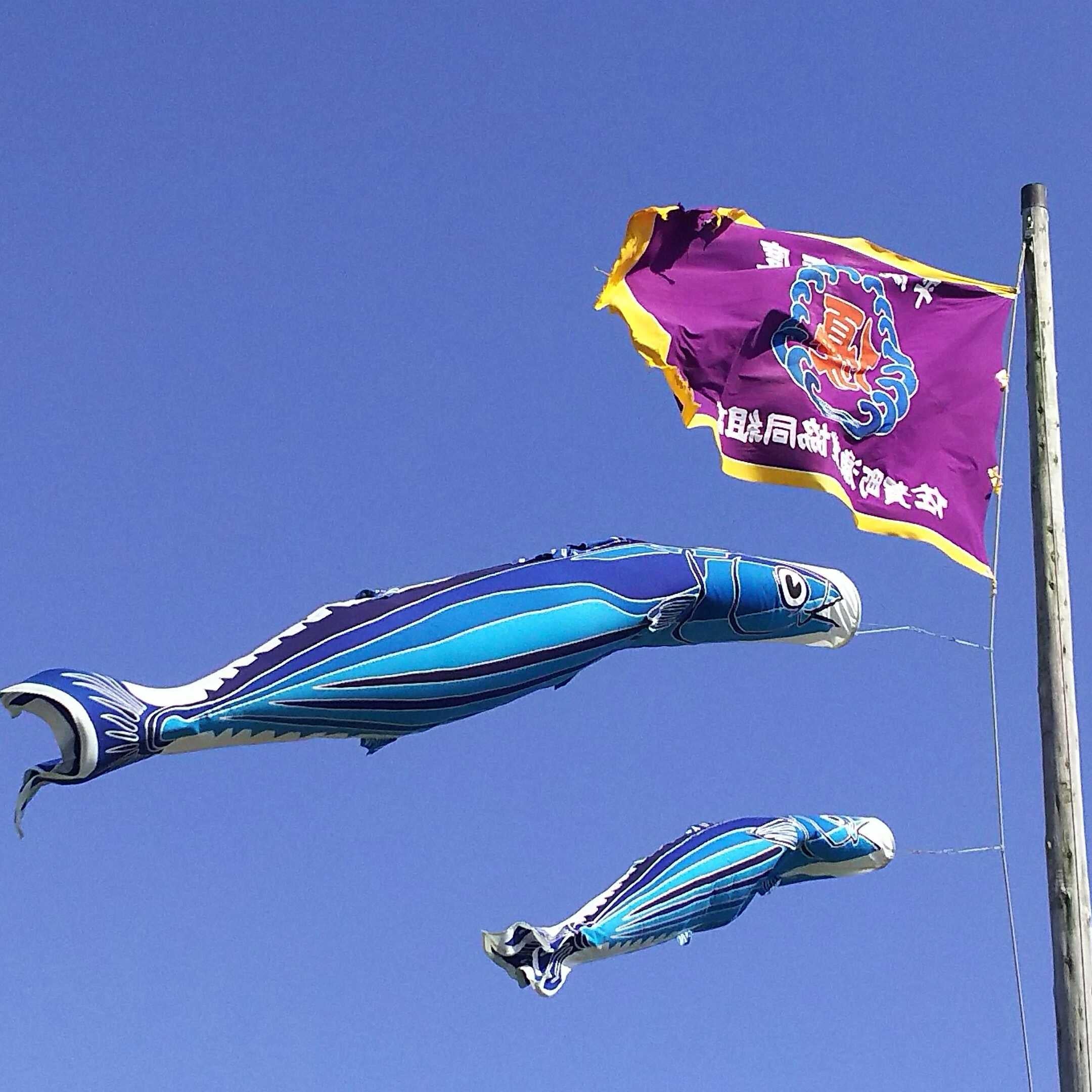 OTOTO改め高橋耕司のトーク