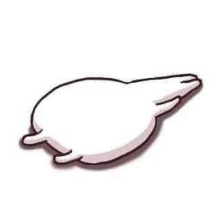 ふみふみ