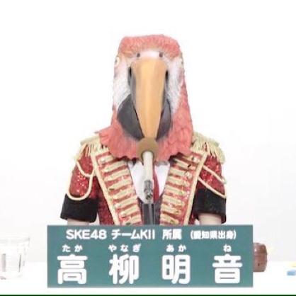 稲垣あやめのトーク