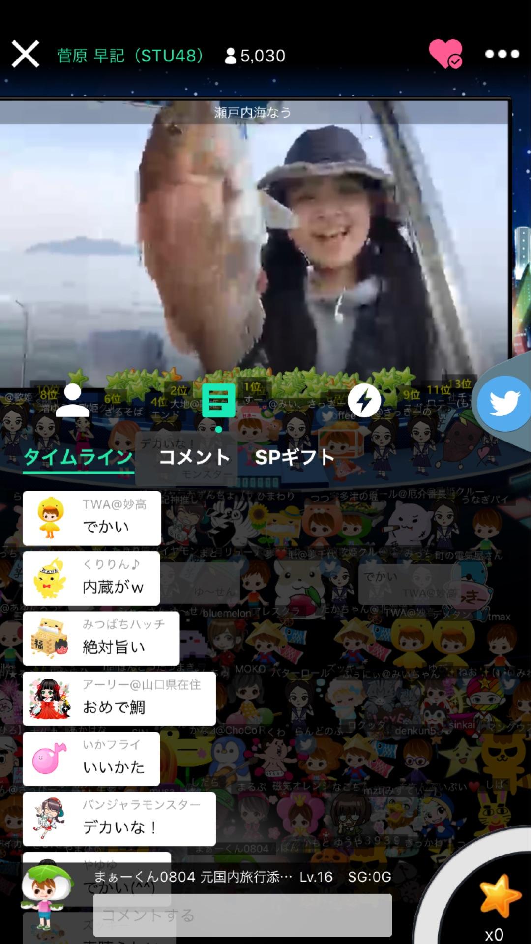 投稿画像