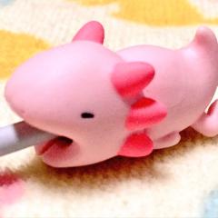 かよ