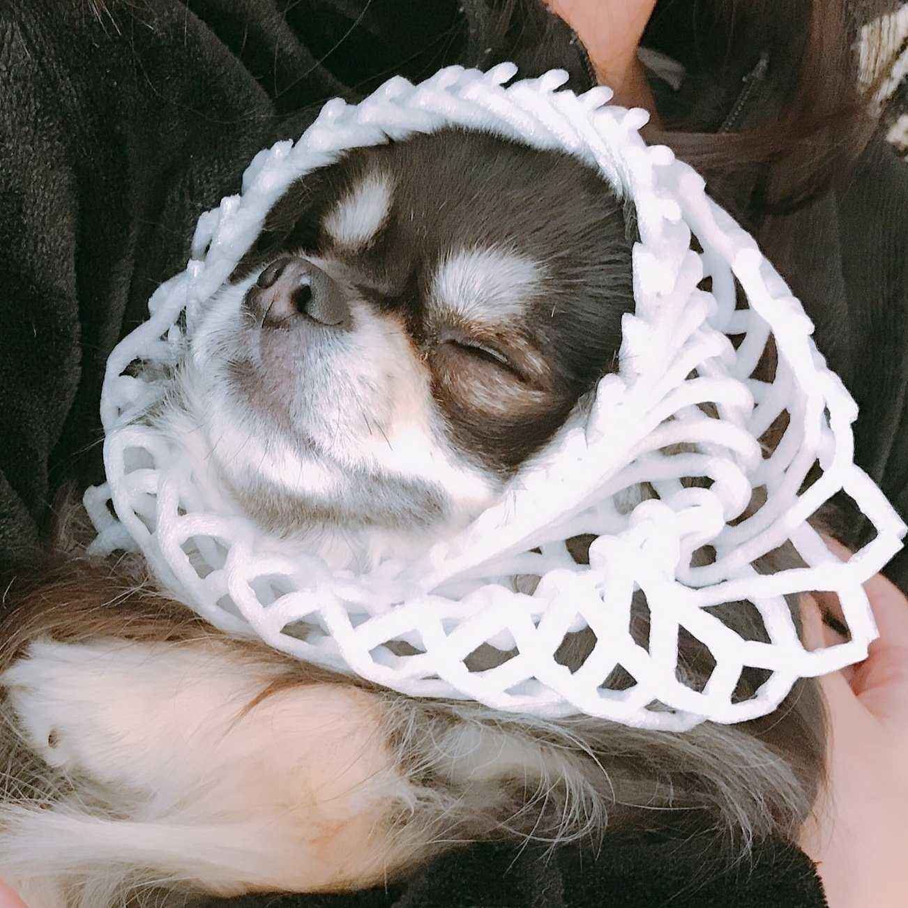 よしたく
