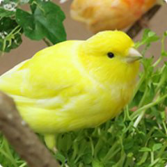 タケハタのトーク