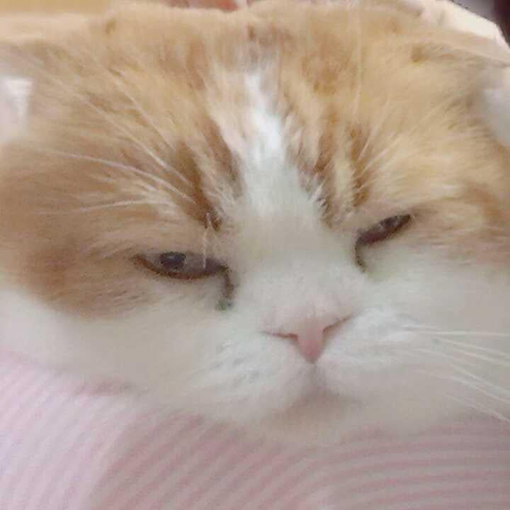 なおと