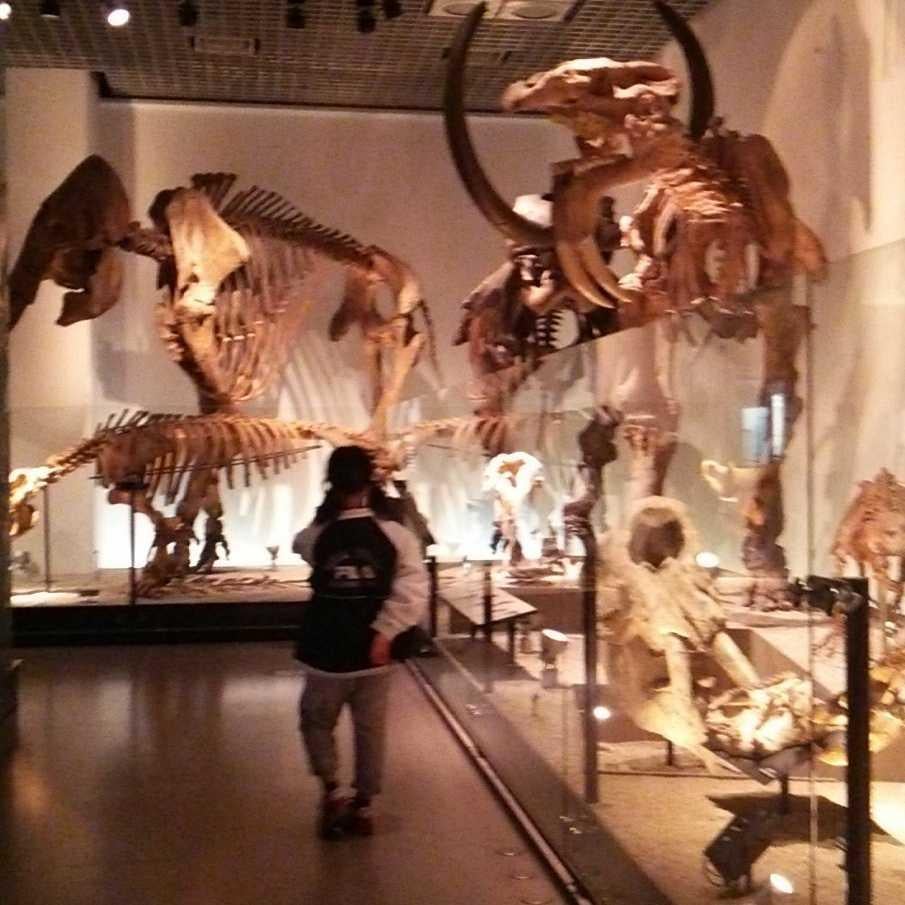 身長145の旅日記