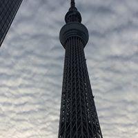 いのうえ みちよ