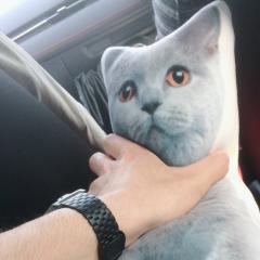 りょう⊿ちまちま