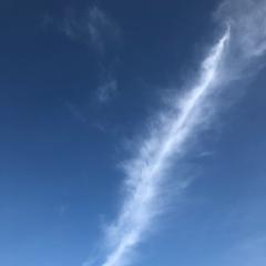 田口愛佳ウォッチング