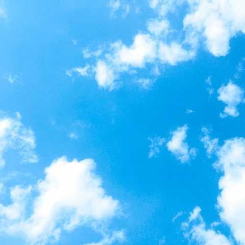 ハイリク