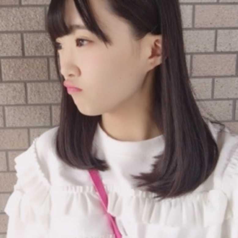 ずんちゃん引用