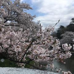 ひとりごとをいう場所カナ？