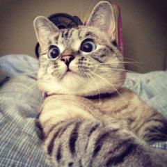 ぼっち会議@頭の中の世界