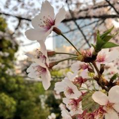 きたたた