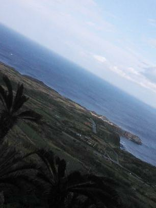 ｱﾙｰｸﾞﾚﾝ