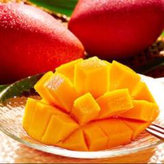 加工屋蓮のお部屋