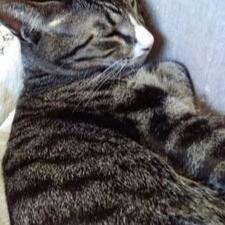 たく（まおちゃん）