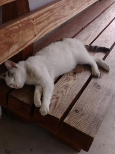 雷火