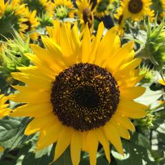 秋茶丸のトーク