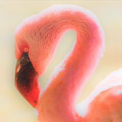 スピリッツ📪のトーク