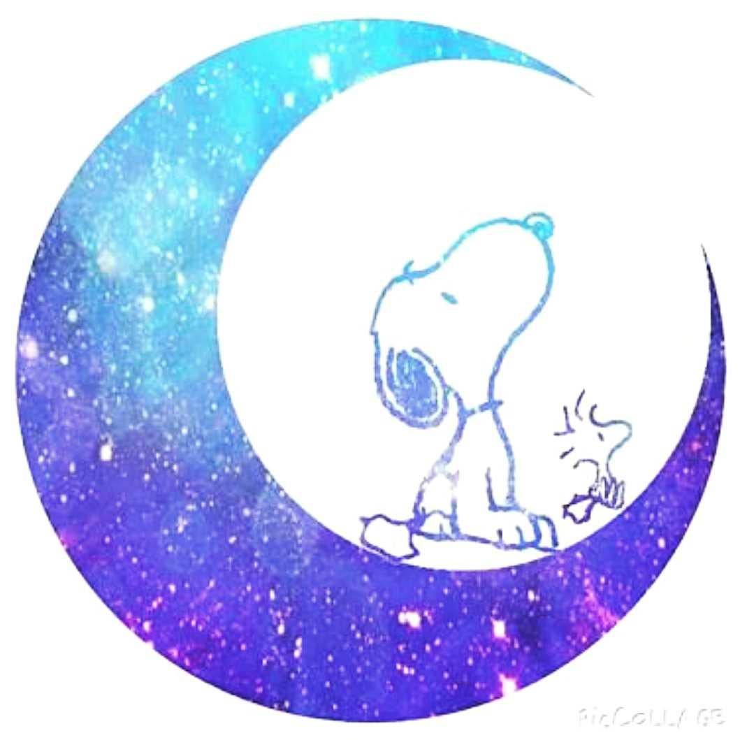 Ruu