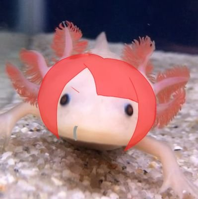 龍-ろん-＠シバキあい仙台