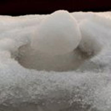 せいやんのトーク