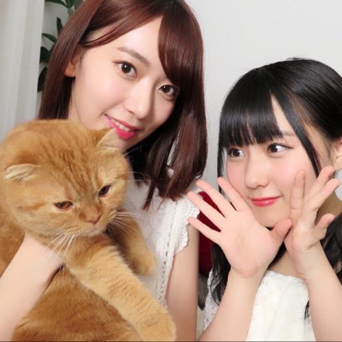 ゆーた@さくみく推しのトーク