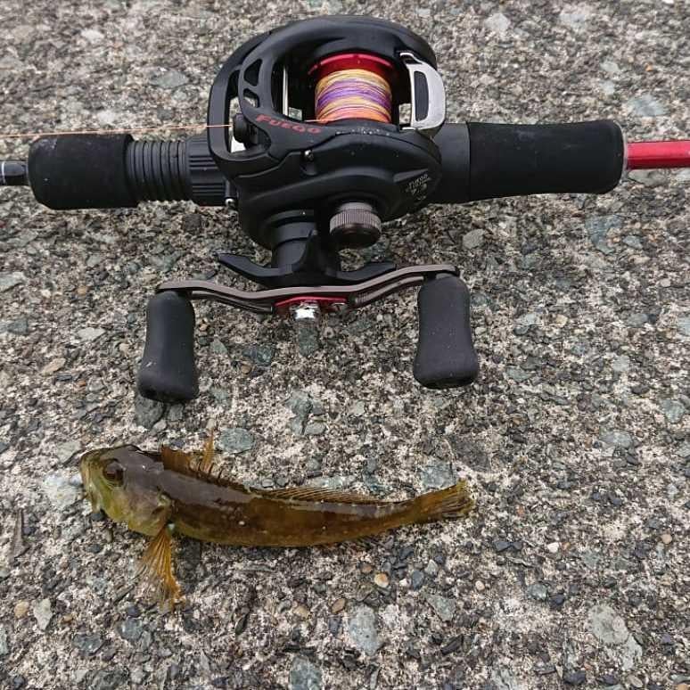 釣行スタイル！