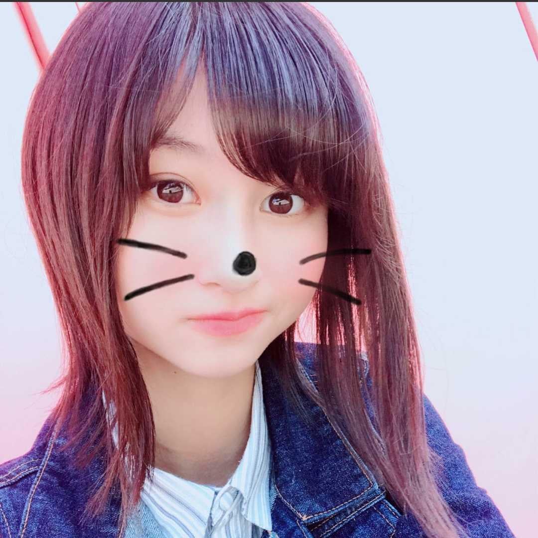 サカモト(猫)