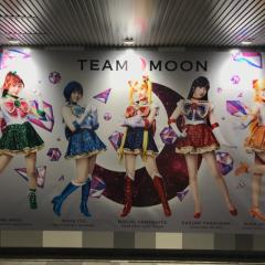 ぴだっこ