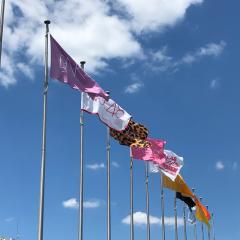 ゆーす