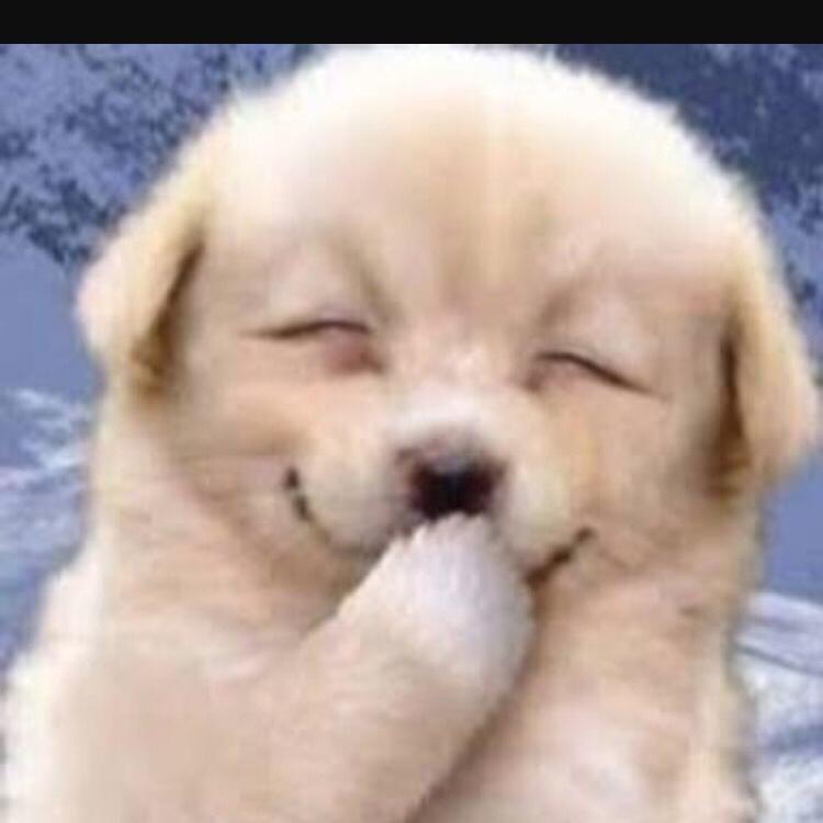 くそったれな日常