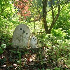 ペペロンのトーク