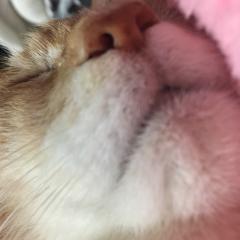 아야코(あやこ)