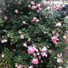 サッカー⚽️ワールドカップ