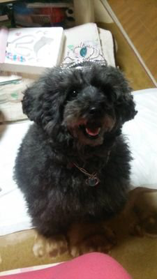 ドナデジNMB48崇拝中