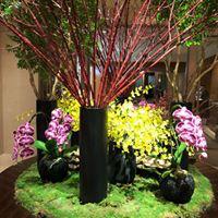 Katsuyo Higuchiのトーク