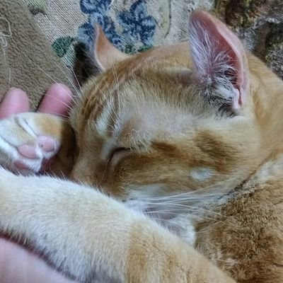 りょう