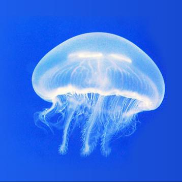 \\\ みきみき ///