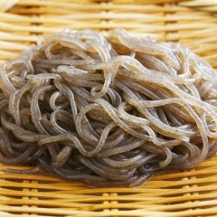 イトコンニャク@畑