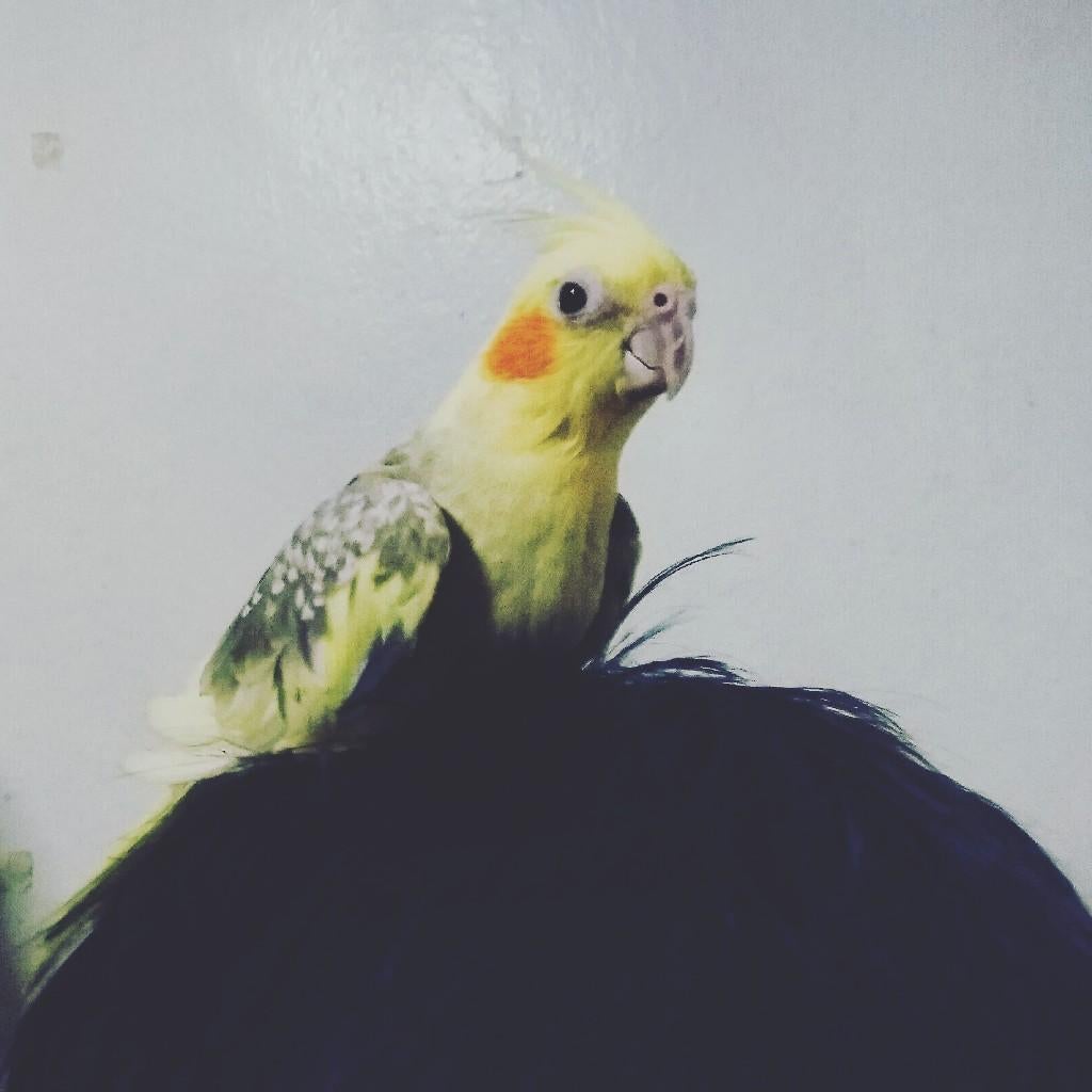 GaFzen4846のトーク