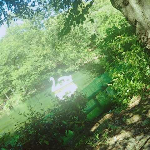 おもいのポケット