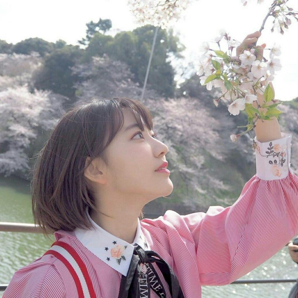 sakura一生推