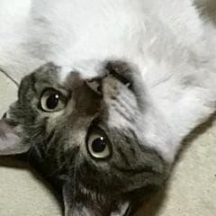 賢志朗のトーク