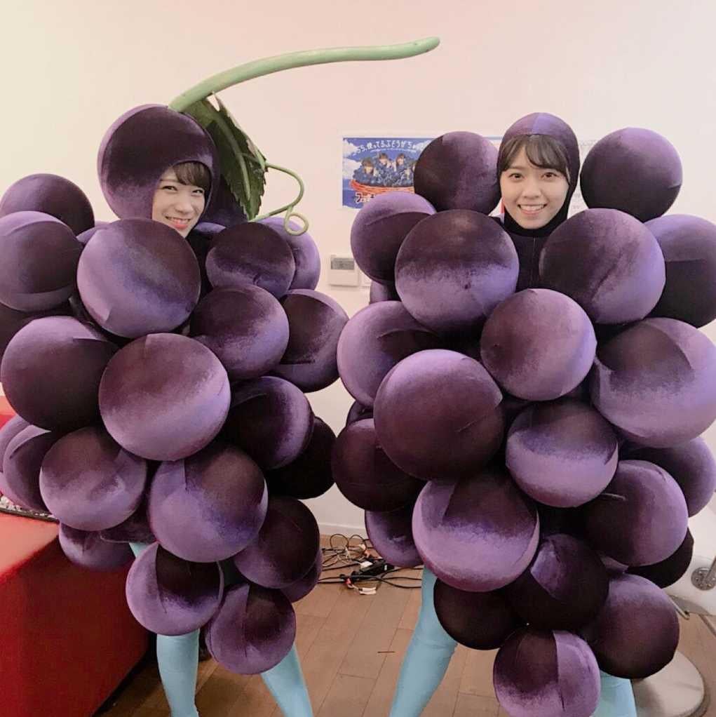 ヤマ